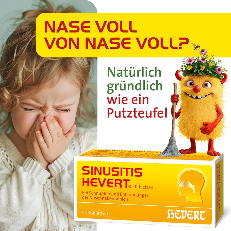 Shopapotheke SINUSITIS HEVERT Tabletten