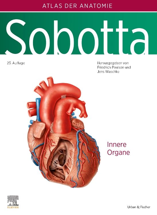 shopapotheke Sobotta Atlas der Anatomie Band 2