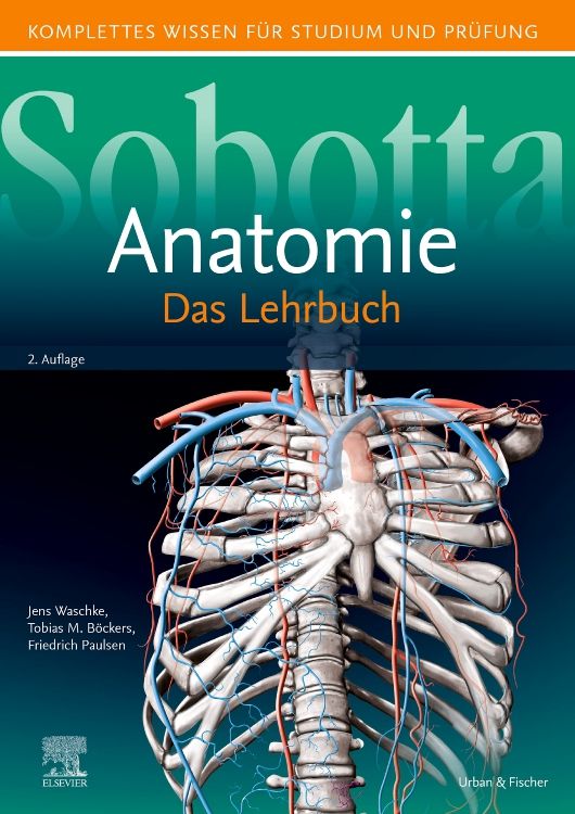 shopapotheke Sobotta Lehrbuch Anatomie