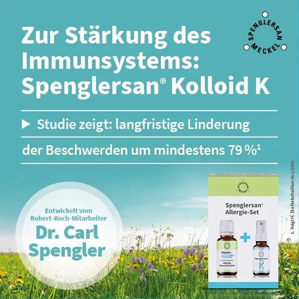 Shopapotheke Spenglersan® Allergieset