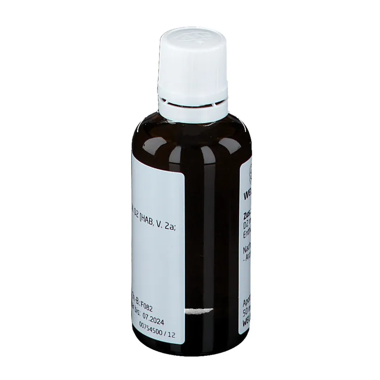 Shopapotheke Taraxacum Stanno Cultum D2