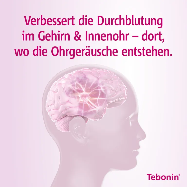 Shopapotheke Tebonin® Intens 120 Mg