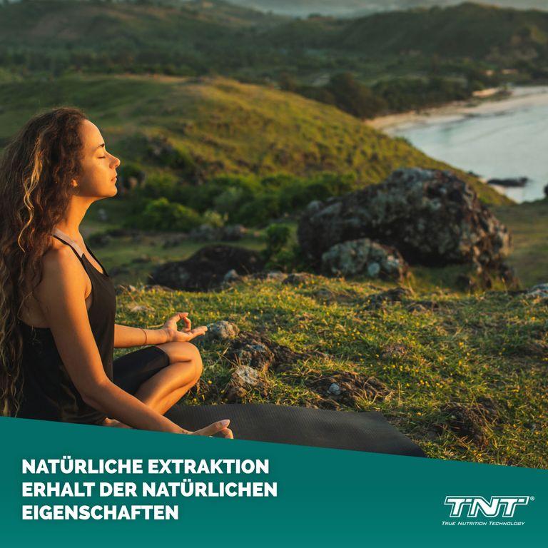 Shopapotheke TNT Ashwagandha KSM-66®