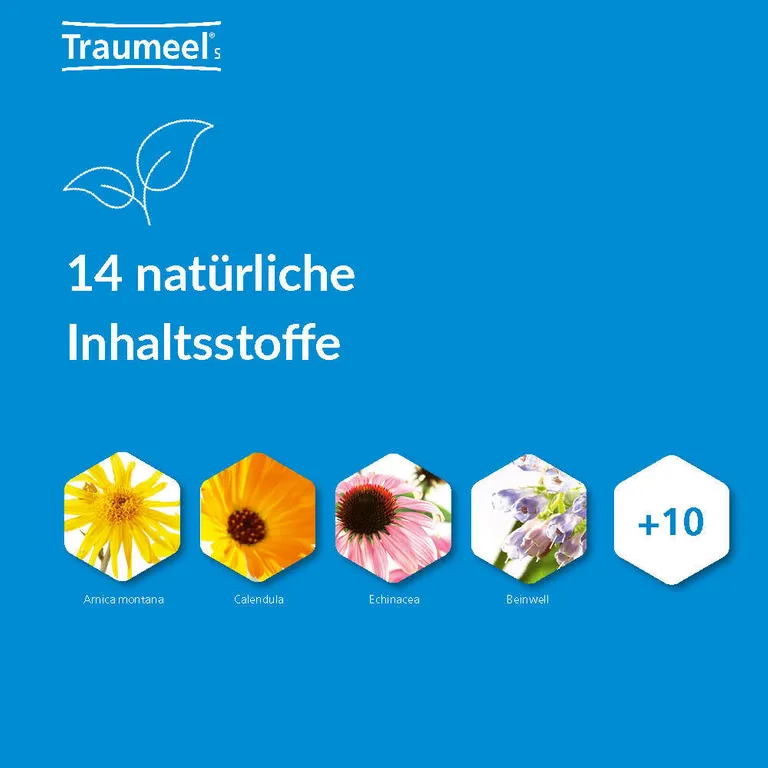 Shopapotheke Traumeel® S Tropfen