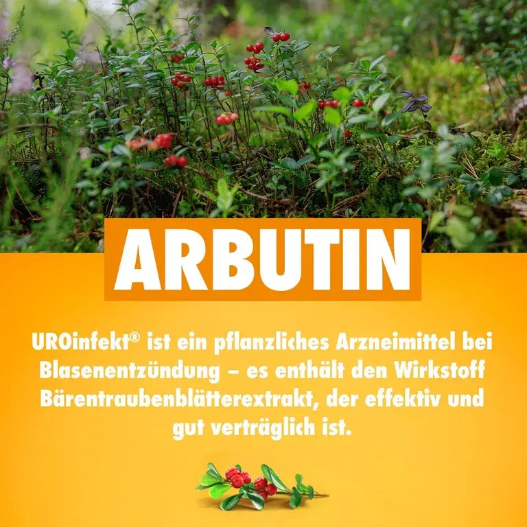 Shopapotheke UROinfekt® 864 Mg