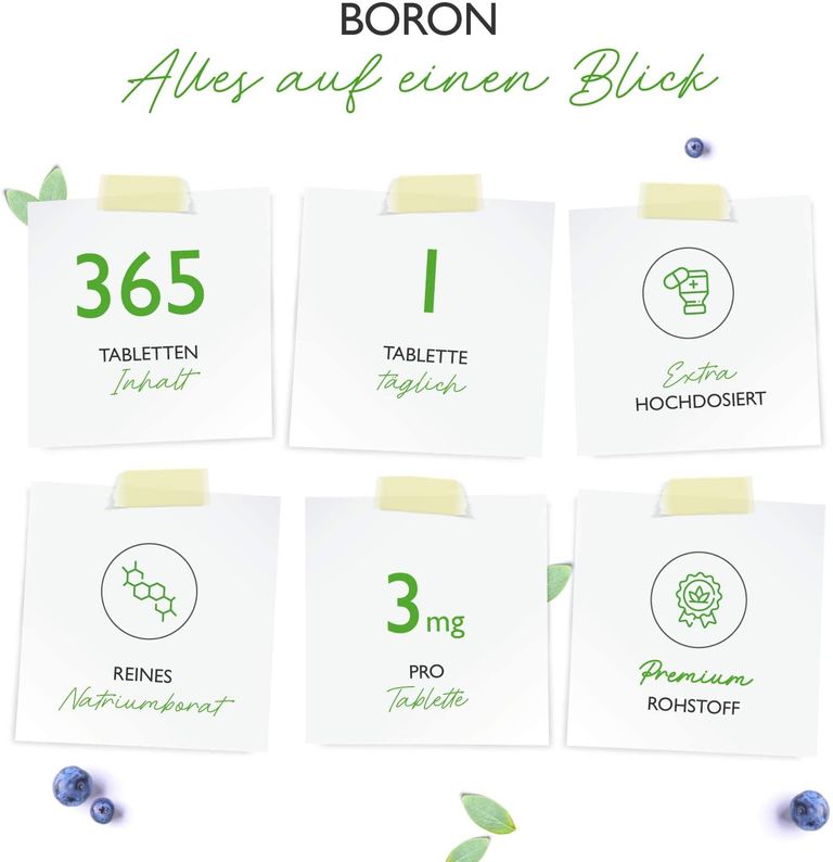 Shopapotheke Vit4ever Boron 365