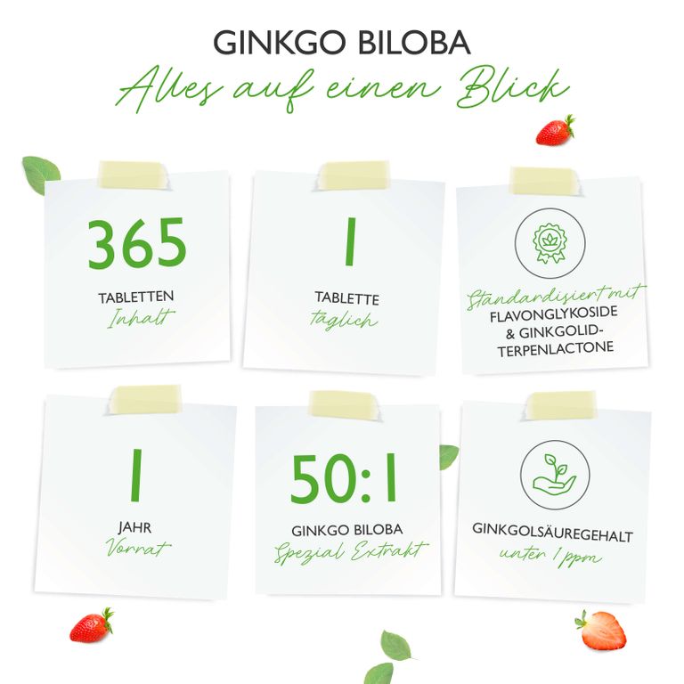 Shopapotheke Vit4ever Ginkgo Biloba 6000 Mg