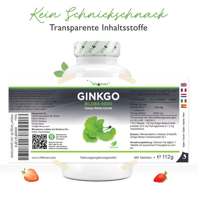 Shopapotheke Vit4ever Ginkgo Biloba 6000 Mg