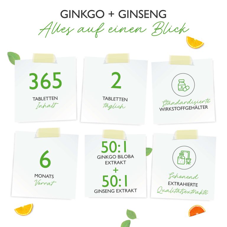 Shopapotheke Vit4ever Ginkgo Ginseng Mix 8000