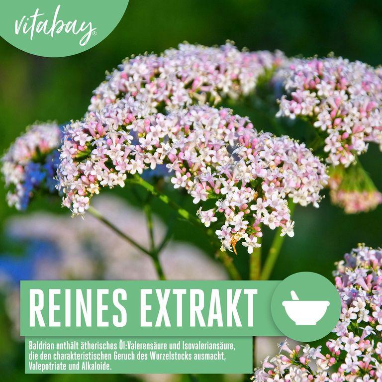 Shopapotheke Vitabay Baldrian Extrakt 2000 Mg