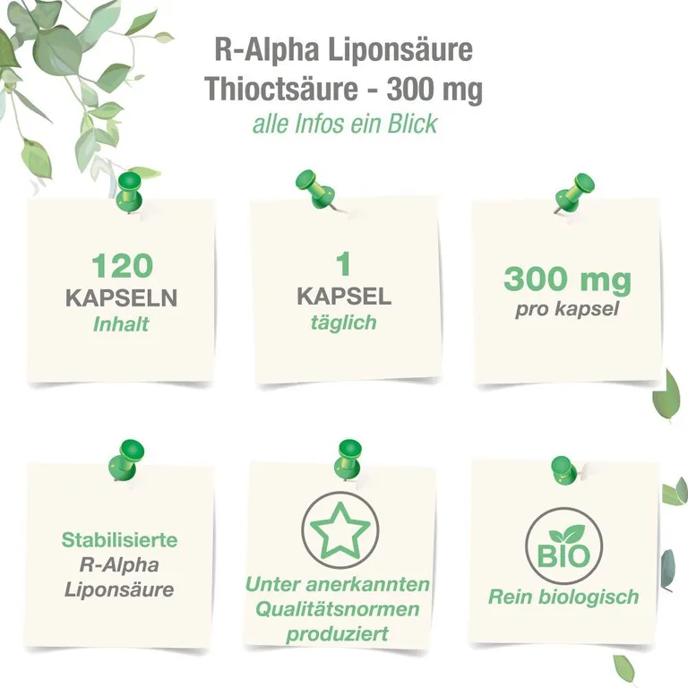 Shopapotheke Vitabay R-Alpha-Liponsäure 300 Mg