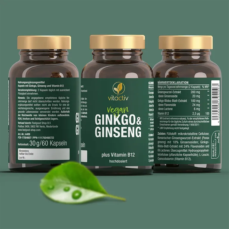 Shopapotheke Vitactiv Ginkgo + Ginseng + B12
