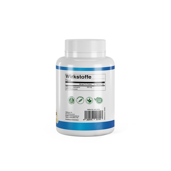 Shopapotheke VitaSanum® - ATP (Adenosintriphosphat)