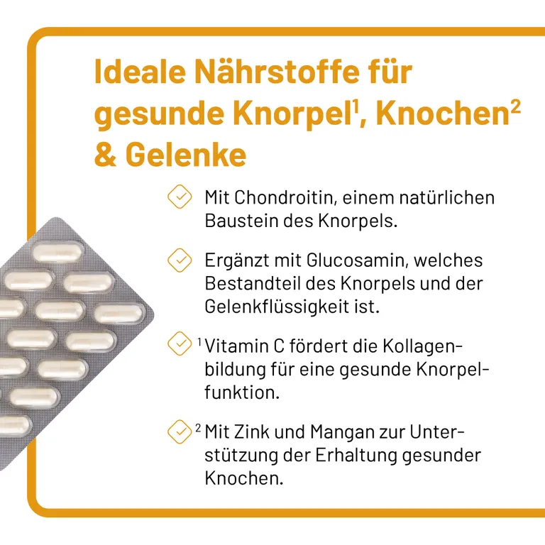 Shopapotheke Vitazell®-Arthro Kapseln