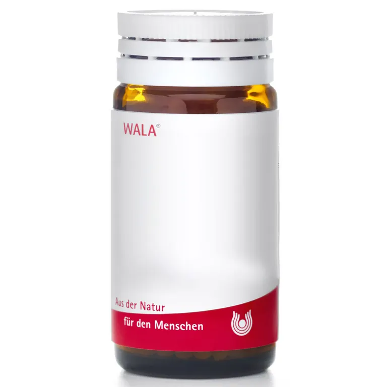 shopapotheke WALA® AURUM/EQUISETUM Ii Globuli