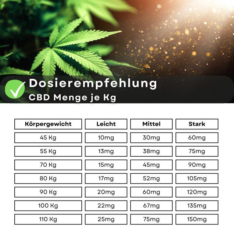 Shopapotheke Weedness - CBD Öl 40%