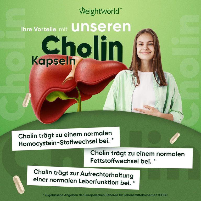 Shopapotheke WeightWorld Cholin Bitartrat