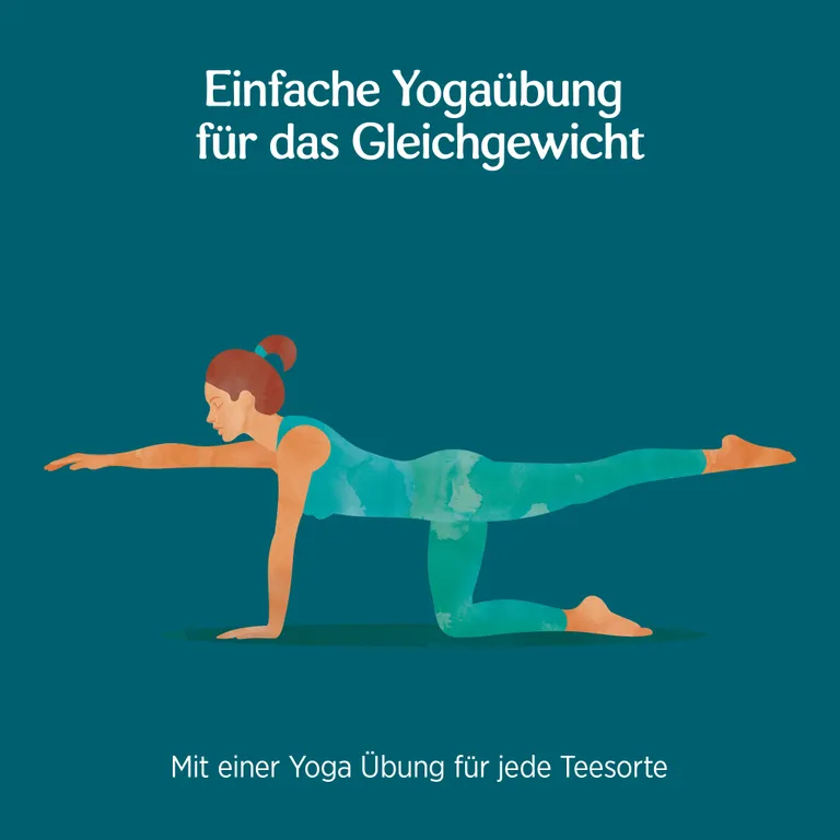 Shopapotheke YOGI TEA® Halswärmer Bio Kräutertee