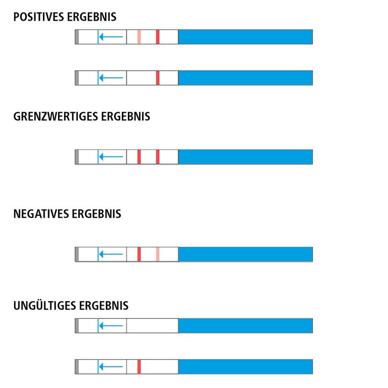 Shopapotheke Siegmund Care Nierenfunktion Selbsttest