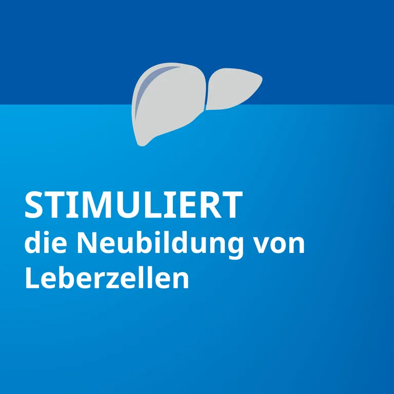 Shopapotheke Silymarin STADA® Bei Chronisch-entzündlichen Lebererkrankungen Leberzirrhose Und Toxischen Leberschäden