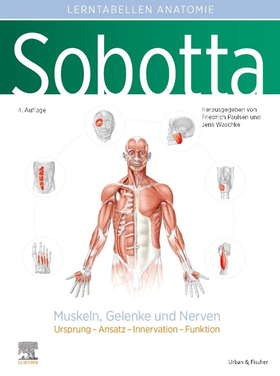 shopapotheke Sobotta Lerntabellen Anatomie Muskeln Gelenke und Nerven