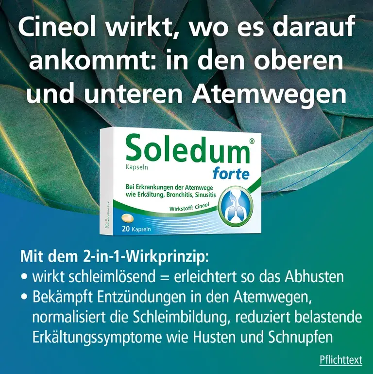 Shopapotheke Soledum® Forte Kapseln Bei Erkältung Bronchitis & Sinusitis