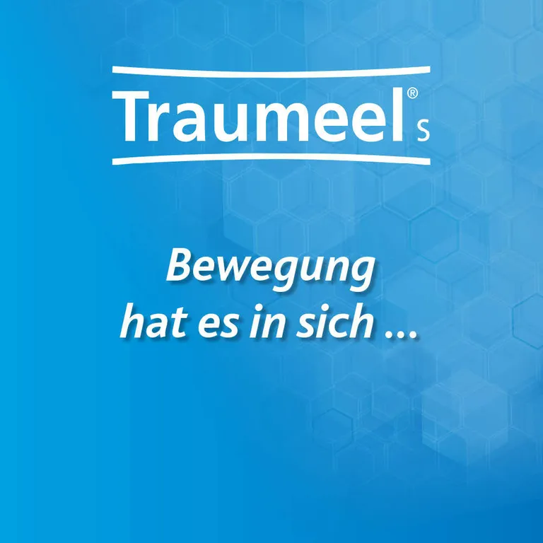 Shopapotheke Traumeel® S 250 Tabletten + Traumeel® S 100 G Creme