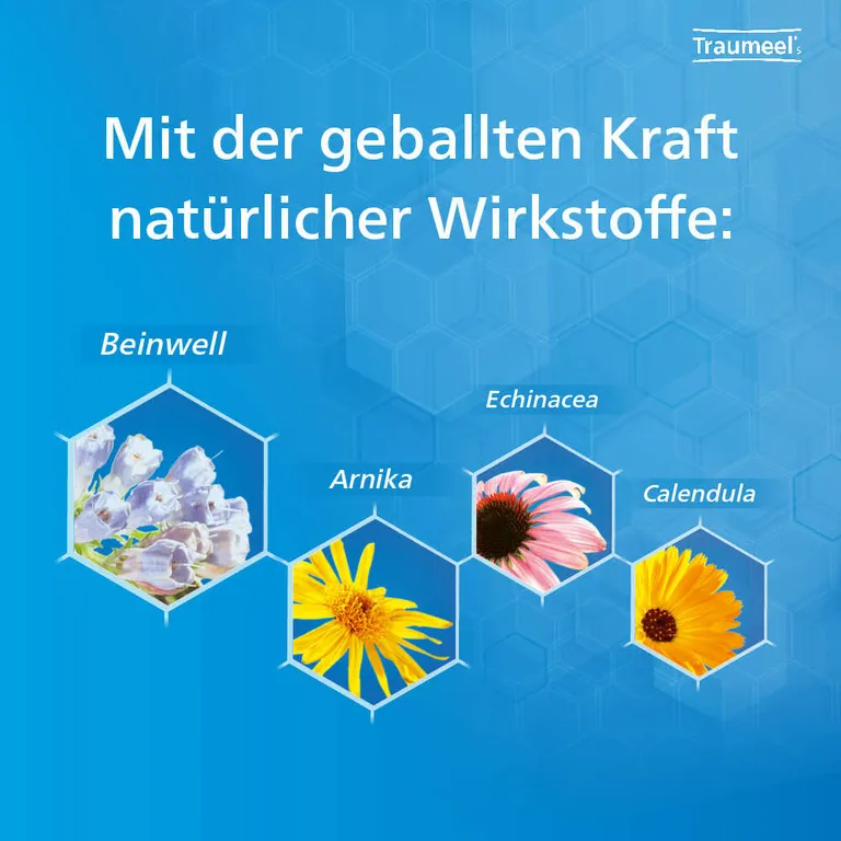 Shopapotheke Traumeel® S 250 Tabletten + Traumeel® S 100 G Creme