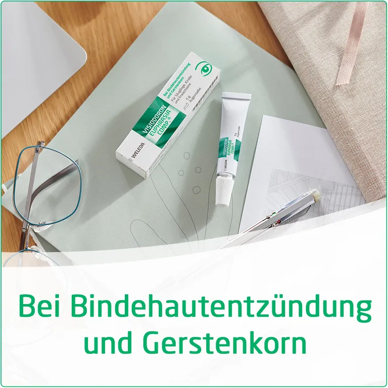 Shopapotheke Visiodoron Euphrasia Comp.® Augensalbe - Bei Bindehautentzündung Und Gerstenkorn