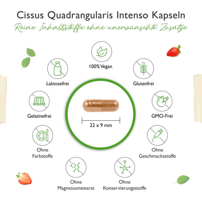Shopapotheke Vit4ever Cissus Quadrangularis Intenso