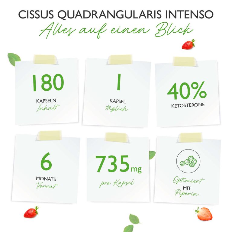Shopapotheke Vit4ever Cissus Quadrangularis Intenso