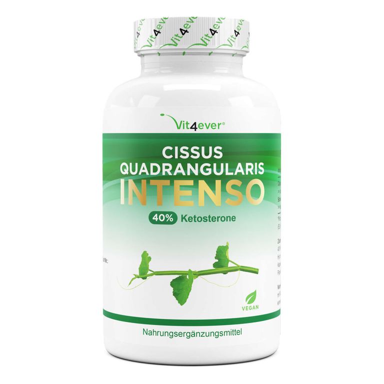 shopapotheke vit4ever Cissus Quadrangularis Intenso