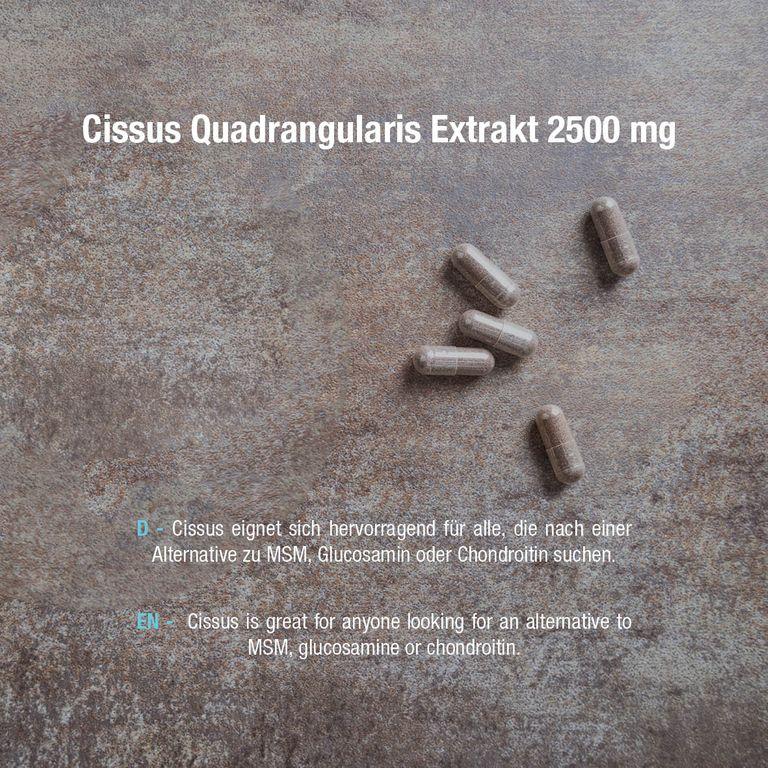 Shopapotheke Vitabay Cissus Quadrangularis Extrakt 2500 Mg