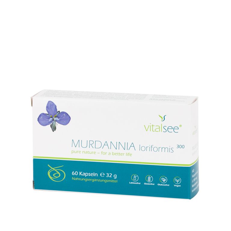 Shopapotheke Vitalsee MURDANNIA Loriformis 300 Extrakt Großpackung