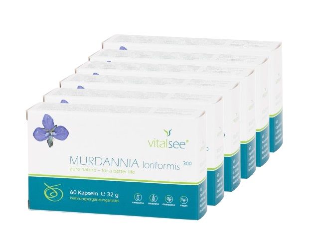 shopapotheke Vitalsee MURDANNIA loriformis 300 Extrakt Großpackung