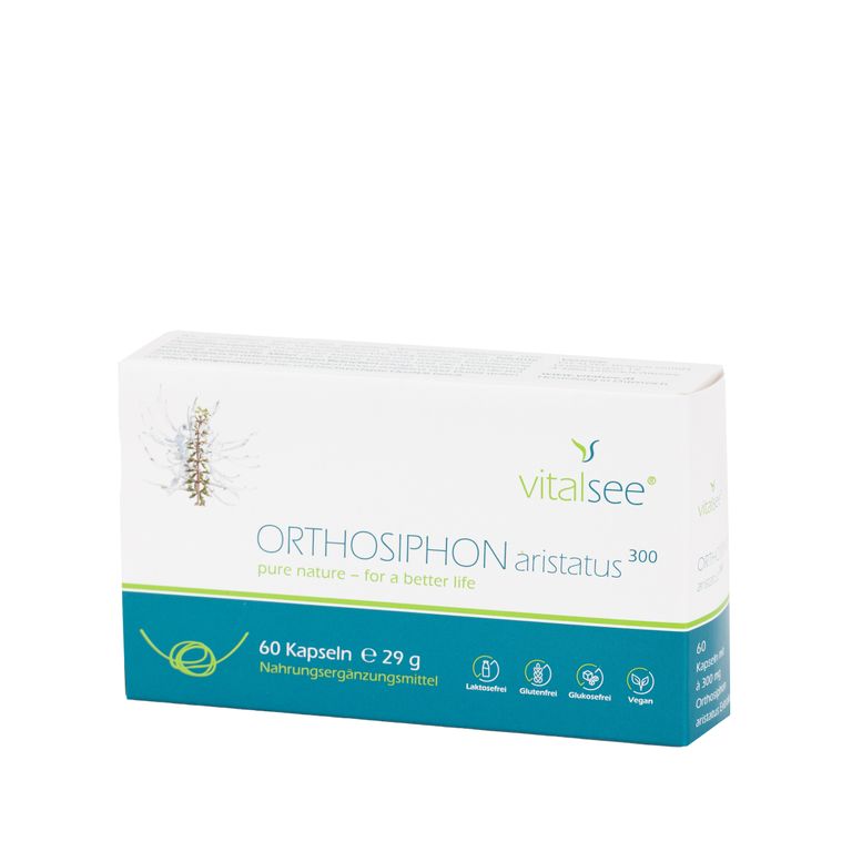 shopapotheke Vitalsee ORTHOSIPHON aristatus 300 Extrakt