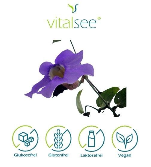 Shopapotheke Vitalsee THUNBERGIA Laurifolia 300 Extrakt