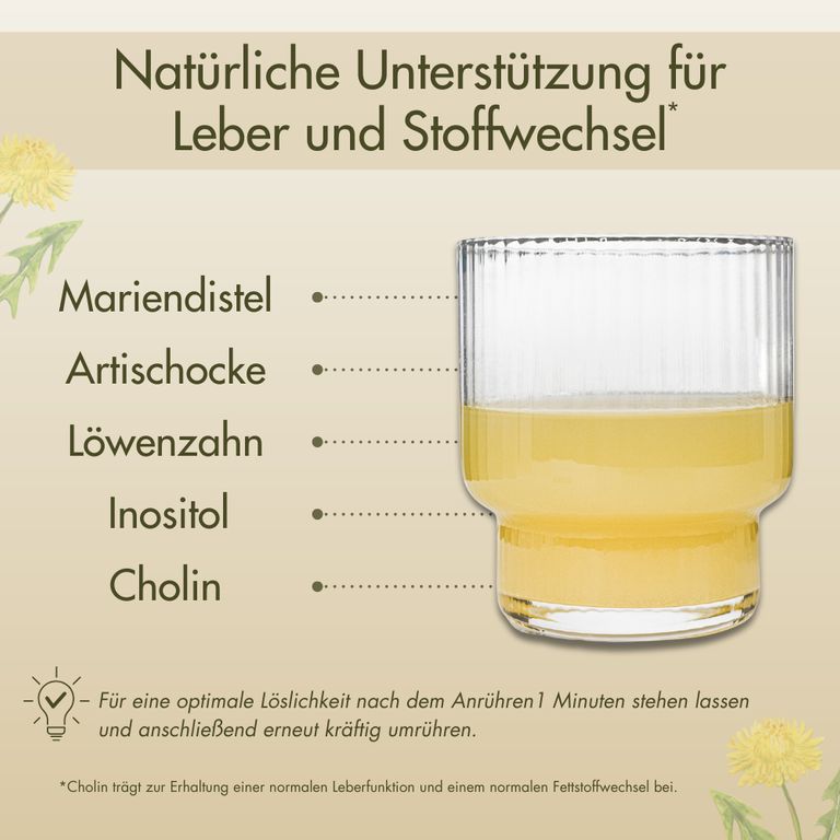 Shopapotheke Vitapow Leber Komplex - Mariendistel Artischocke Löwenzahn Cholin Inositol