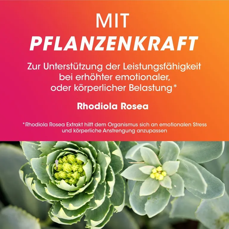 Shopapotheke Vitasprint Duo Energie 2-Phasen-Tablette - Vitamin B-Komplex Hochdosiert