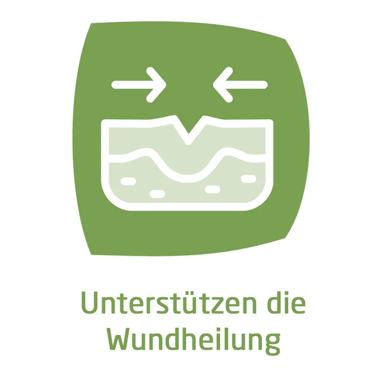 Shopapotheke Weleda Hämorrhoidalzäpfchen Zur Schmerz- Und Juckreizlindernden Behandlung Von Hämorrhoiden