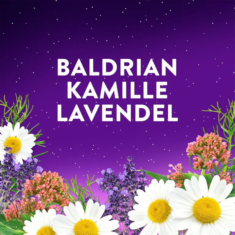 Shopapotheke WICK ZzzQuil Gute Nacht INTENS Höhere Dosis Melatonin*