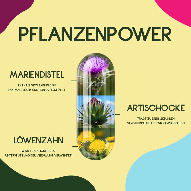 Shopapotheke WURZELLIEBE Mariendistel Komplex Mit Artischockenextrakt & Löwenzahn Mit 80% Silymarin - 120 Kapseln