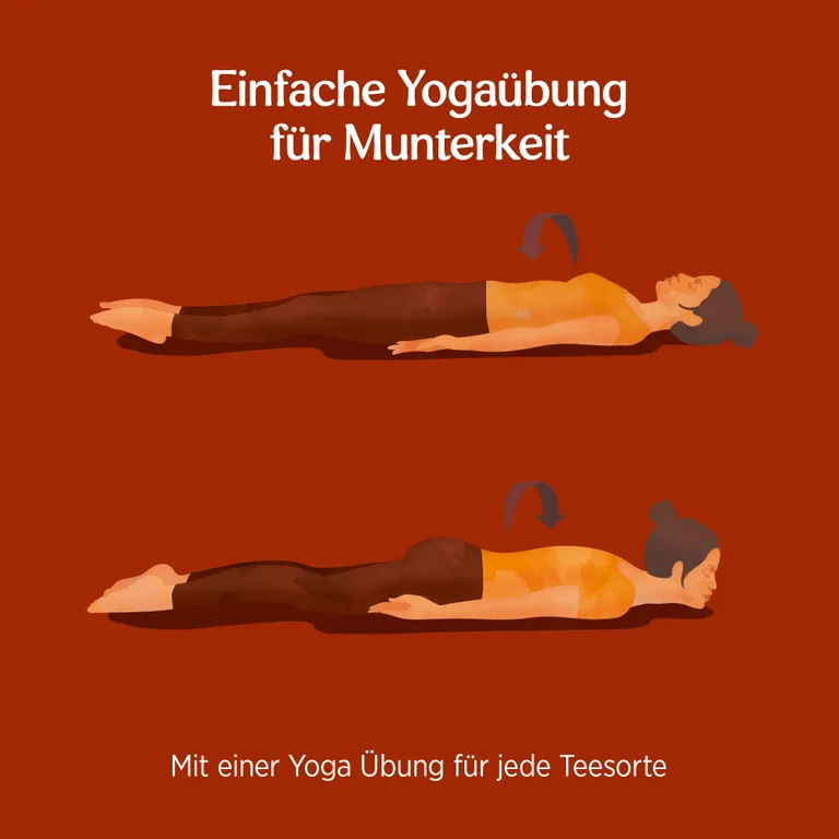 Shopapotheke YOGI TEA® Lakritz Bio Gewürz- Und Kräutertee