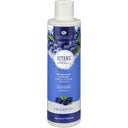 eccoverde Alkemilla Eco Bio Cosmetic Glanz-Shampoo 200 ml