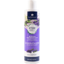 eccoverde Alkemilla Eco Bio Cosmetic Lavendel & Eukalyptus Shampoo 250 ml