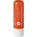 eccoverde Alkemilla Eco Bio Cosmetic Lippenbalsam Mandelmilch (5 ml)