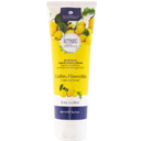 eccoverde Alkemilla Eco Bio Cosmetic Zitronat & Fenchel Pflegespülung 250 ml