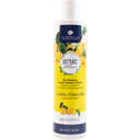 eccoverde Alkemilla Eco Bio Cosmetic Zitronat & Fenchel Shampoo 250 ml