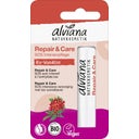 eccoverde alviana Naturkosmetik Lippenpflegestift Repair & Care 4 50 g