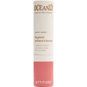 eccoverde ATTITUDE Oceanly Lip Gloss Stick Happy Berry (3 40 g)